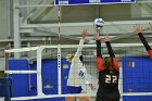 VB vs ENC  Wheaton College Women's Volleyball vs Eastern Nazarene College. - Photo By: KEITH NORDSTROM : Wheaton, volleyball, VB, Eastern Nazarene College